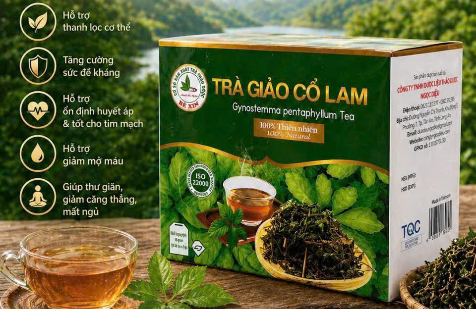 TRÀ GIẢO CỔ LAM BÉ XỊN 3