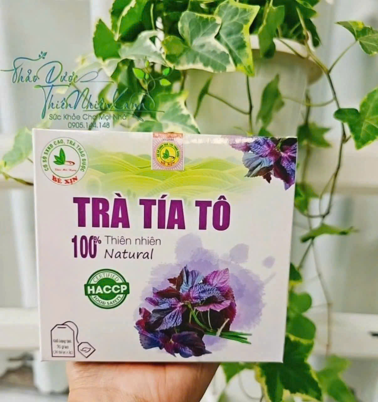 TTRAF TÍA TÔ4